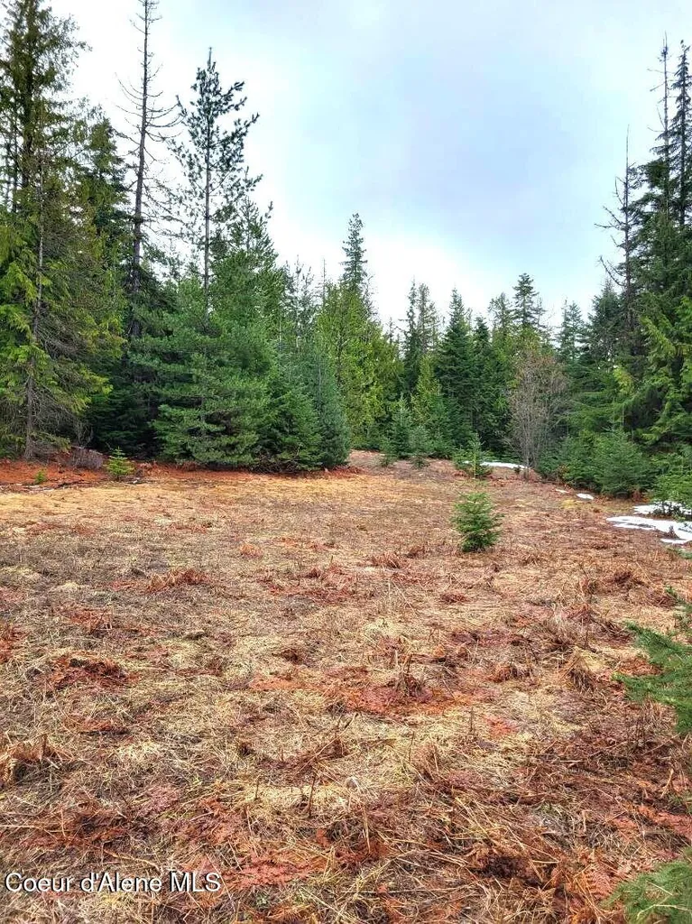 240 Rising Hawk Ridge Road Sandpoint ID 83864