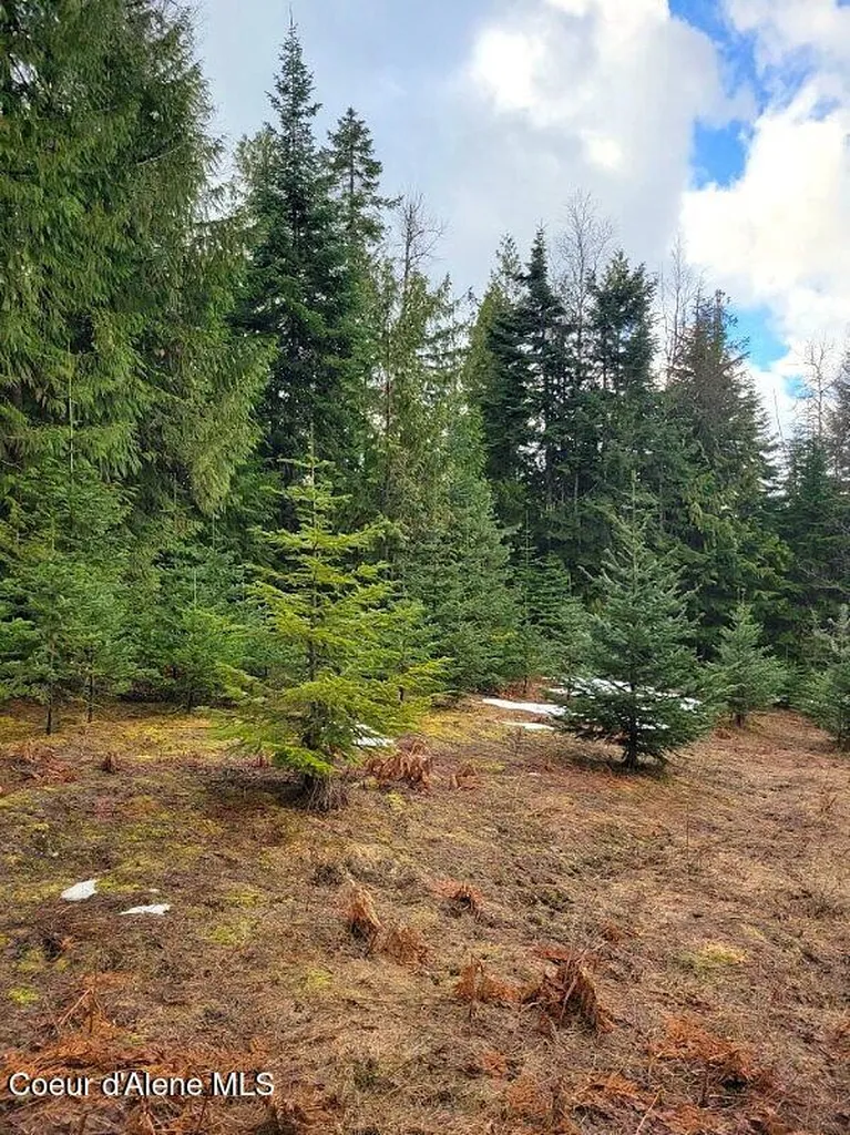 240 Rising Hawk Ridge Road Sandpoint ID 83864