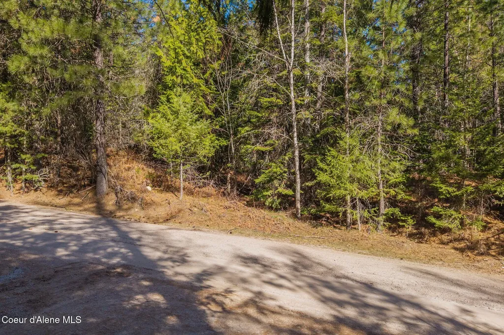 Nna Wood View Road Sandpoint ID 83864