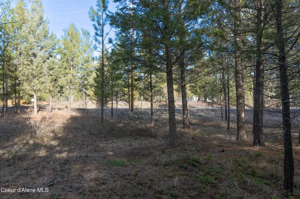Nna Roosevelt Road Bonners Ferry ID 83805