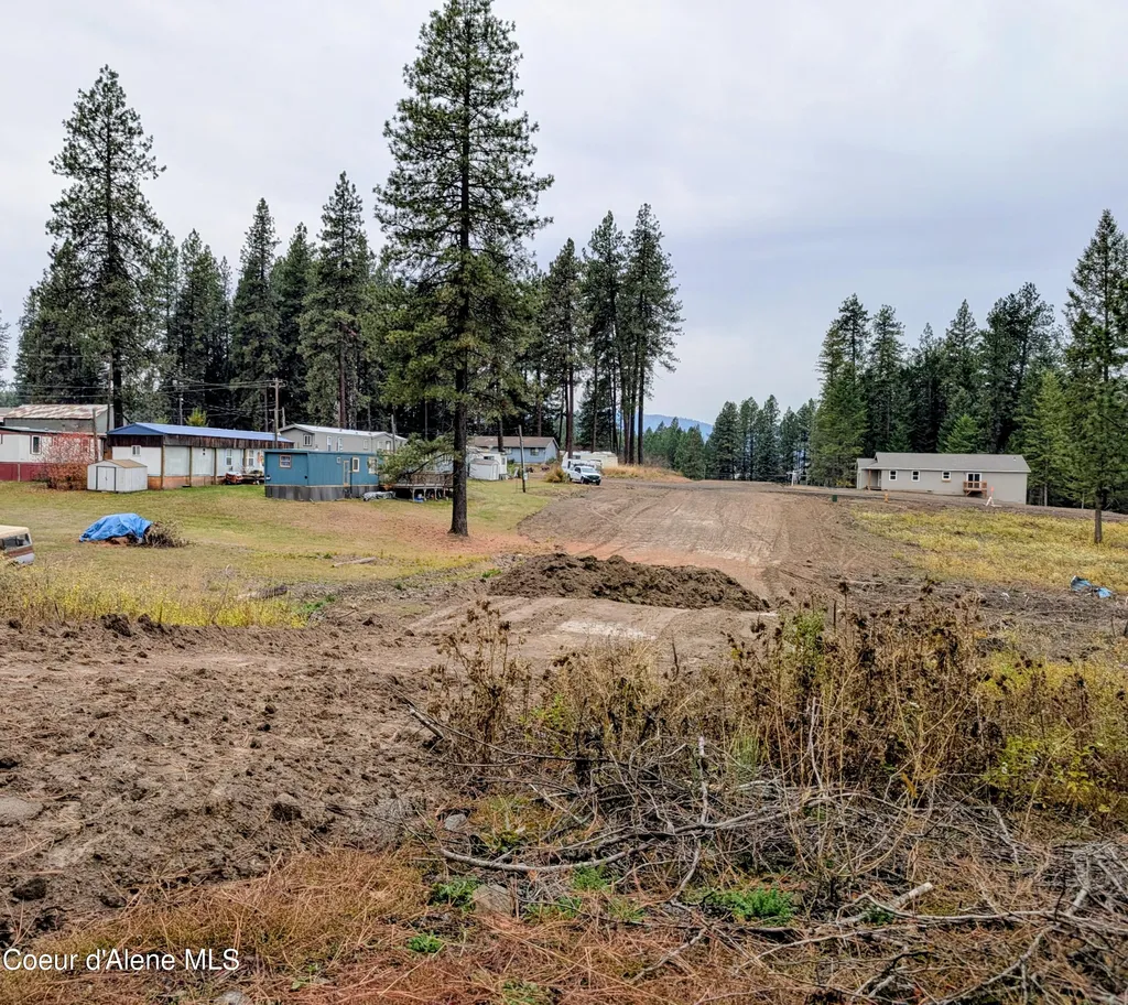 F Street Plummer ID 83851