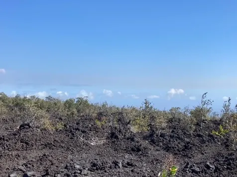 Ohia Drive Ocean View HI 96737