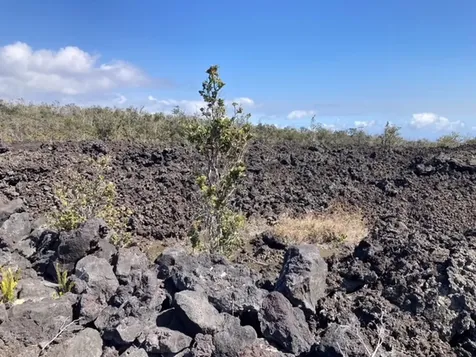 Ohia Drive Ocean View HI 96737