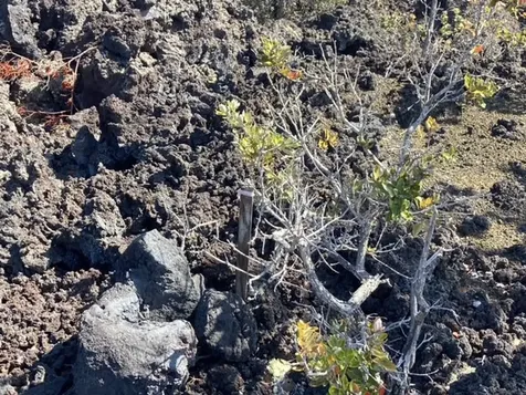 Ohia Drive Ocean View HI 96737