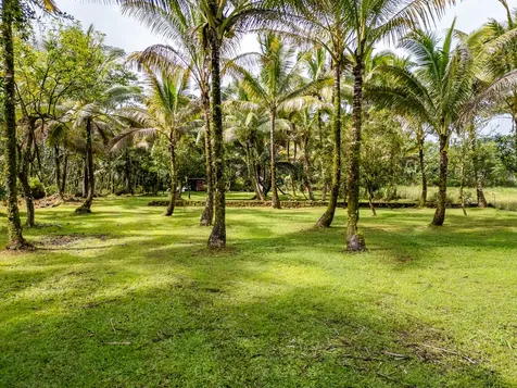 15-1978 9th Avenue Keaau HI 96749