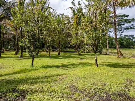 15-1978 9th Avenue Keaau HI 96749