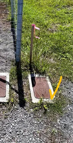 Young Road Hilo HI 96720