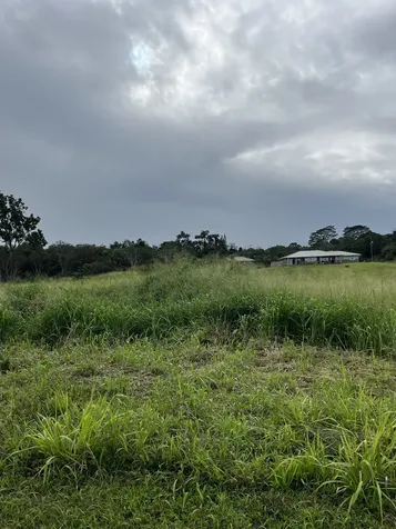 Young Road Hilo HI 96720