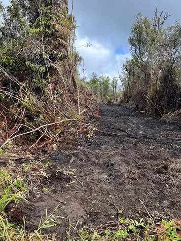 Pikake Street Mountain View HI 96771