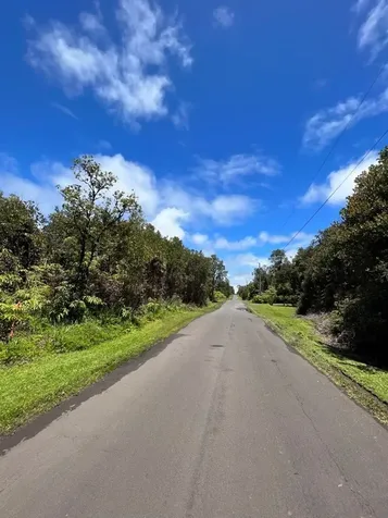 Pikake Street Mountain View HI 96771