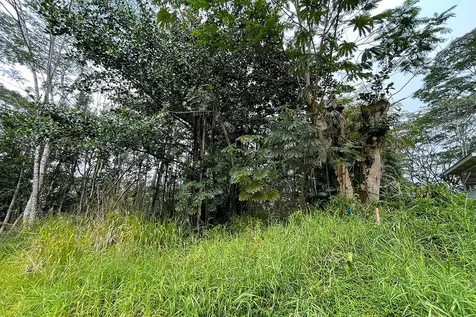 Tiki Road Kurtistown HI 96760