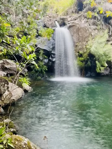 36-574 Spencer Road Laupahoehoe HI 96764