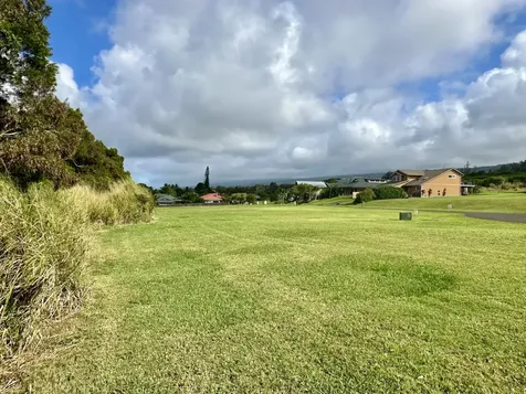 54-3703 Lehuula Circle Kapaau HI 96755