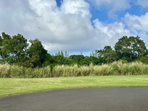 54-3703 Lehuula Circle Kapaau HI 96755