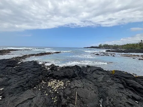 88-1510 Eono Avenue Captain Cook HI 96704