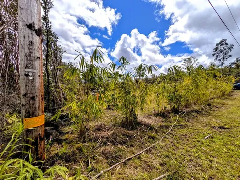 Ulei Street Mountain View HI 96771