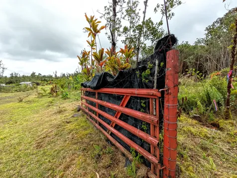 Ulei Street Mountain View HI 96771