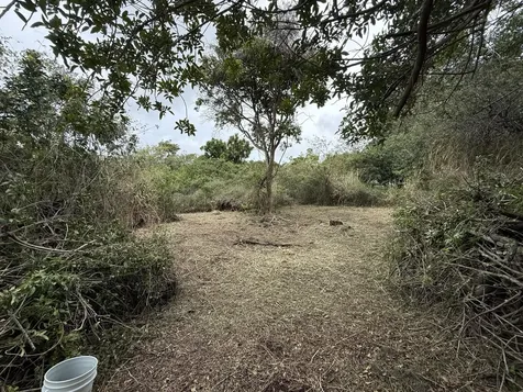 94-1575 Haehae Street Naalehu HI 96772