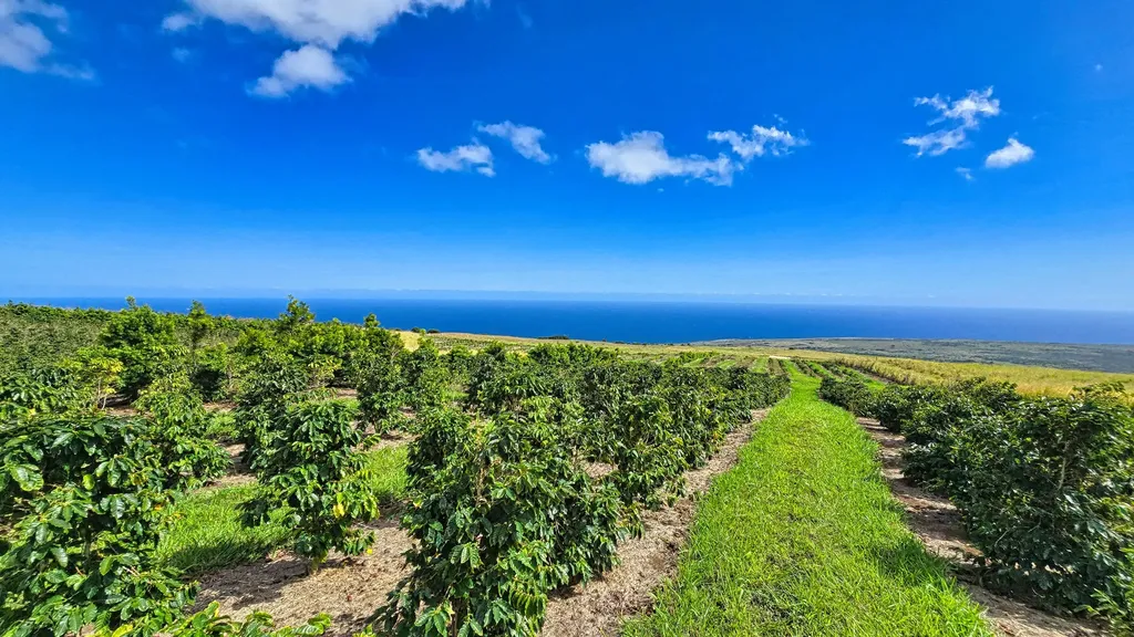Kaalaiki Road Naalehu HI 96772