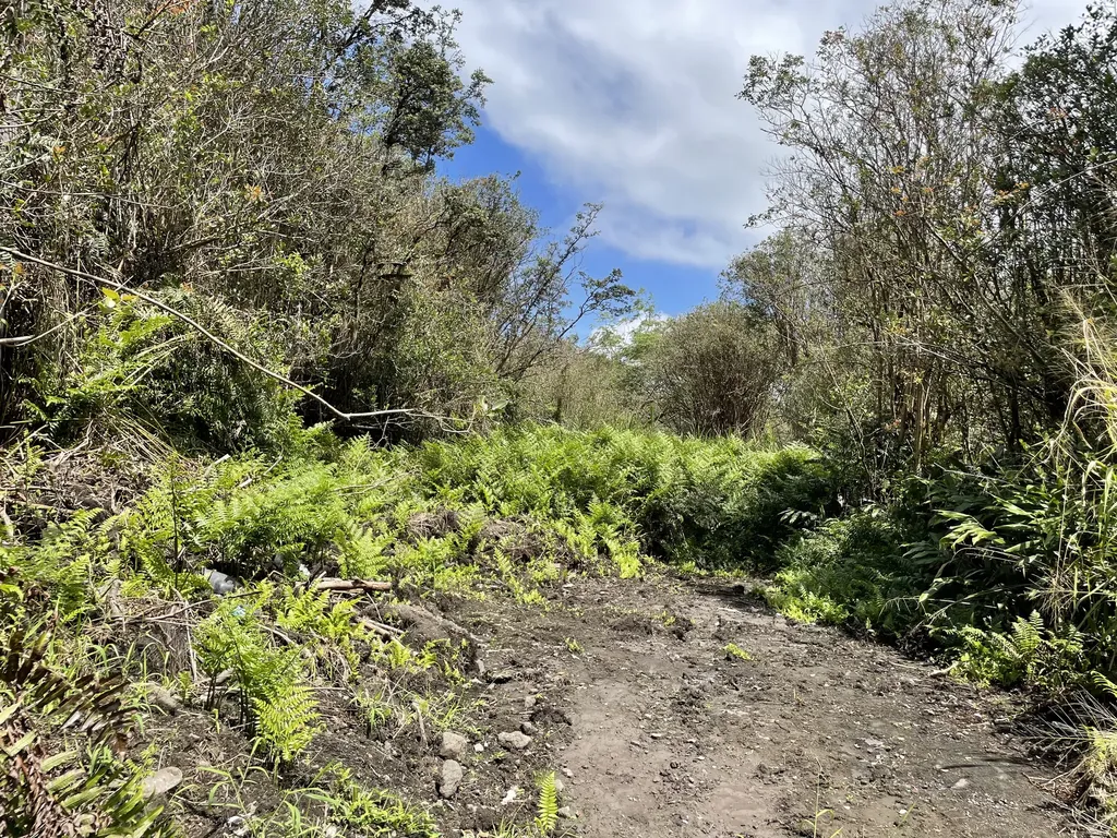 Enos Road Mountain View HI 96771