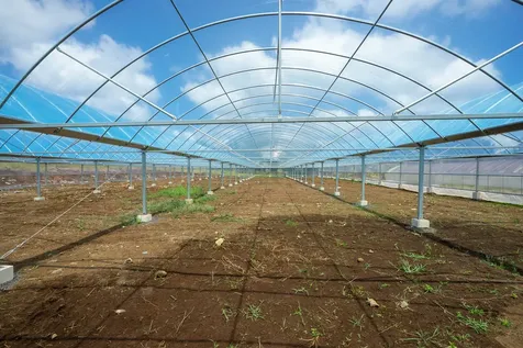 18-3840 S Lauko Road Mountain View HI 96771