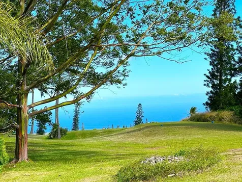 94-5826 Aouli Place Naalehu HI 96772