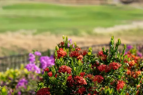 62-3600 Amaui Drive Kamuela HI 96743