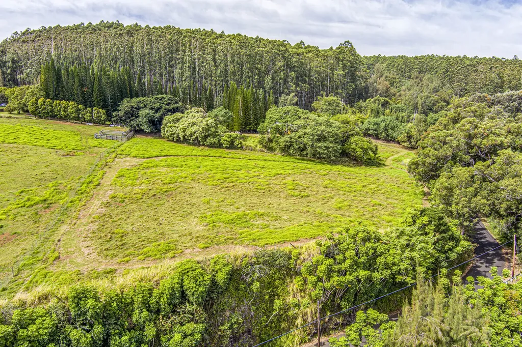36-2615 Laupahoehoe Point Road Laupahoehoe HI 96774