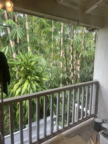 322 Ohai Street Hilo HI 96720