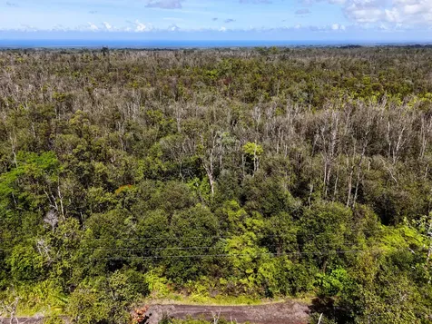 Road 4 (io Kea) Mountain View HI 96760