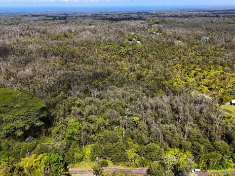 Road 4 (io Kea) Mountain View HI 96760