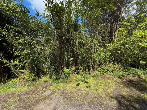 Road 4 (io Kea) Mountain View HI 96760