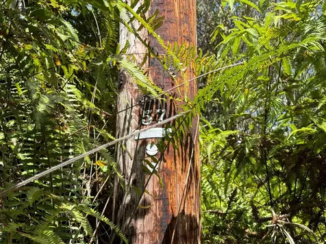 Road 4 (io Kea) Mountain View HI 96760