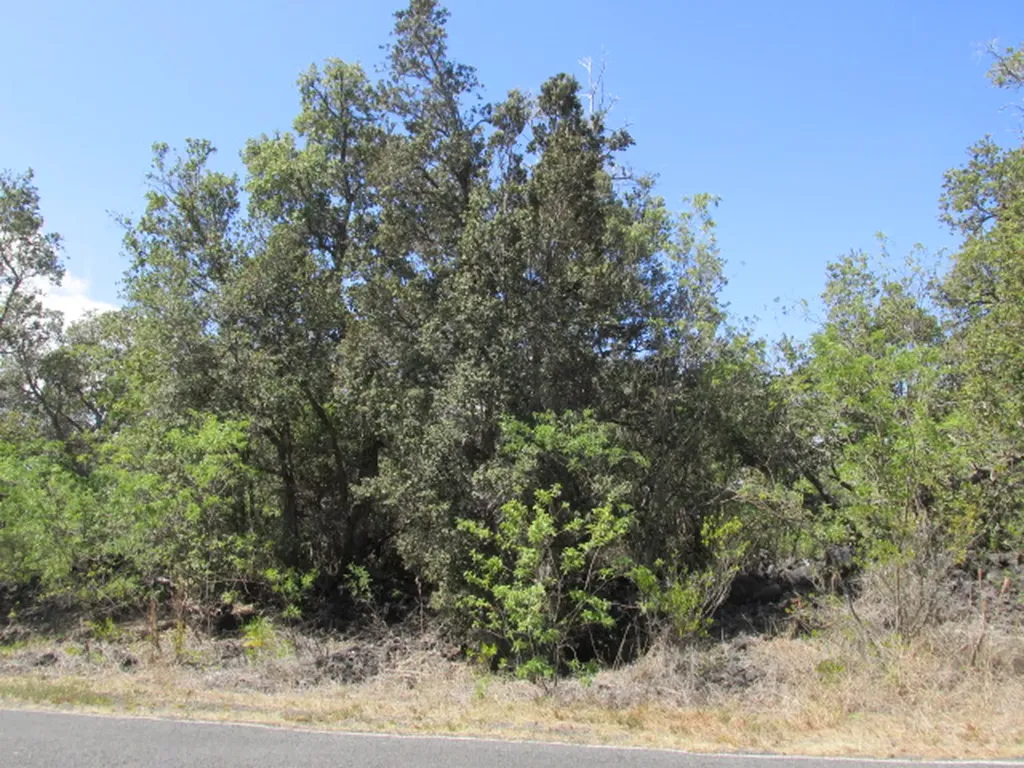 92-8839 Lehua Lane Ocean View HI 96737