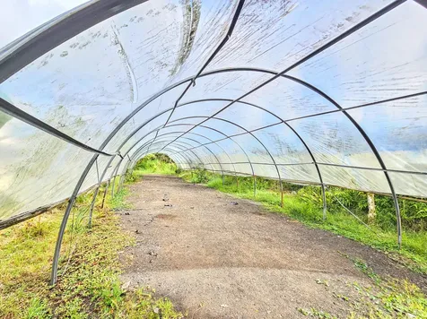 11-1858 Ulei Street Mountain View HI 96771