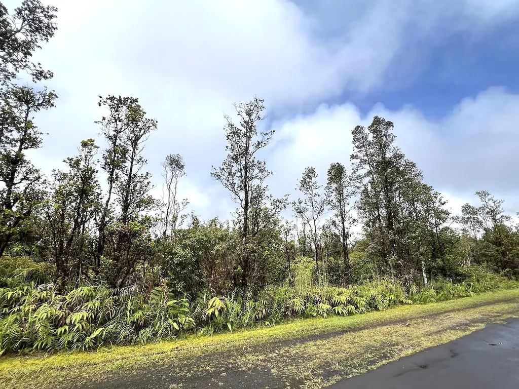 Palainui Avenue Mountain View HI 96771