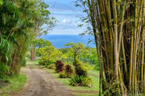 55-2251 Kynnersley Road Hawi HI 96719