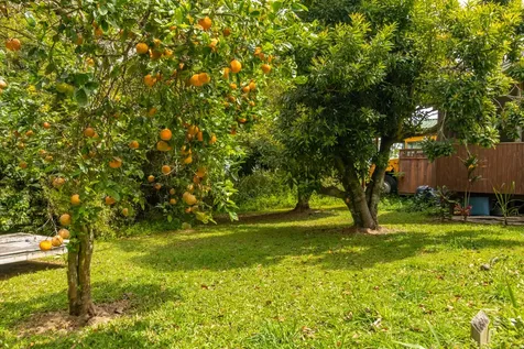 55-2251 Kynnersley Road Hawi HI 96719