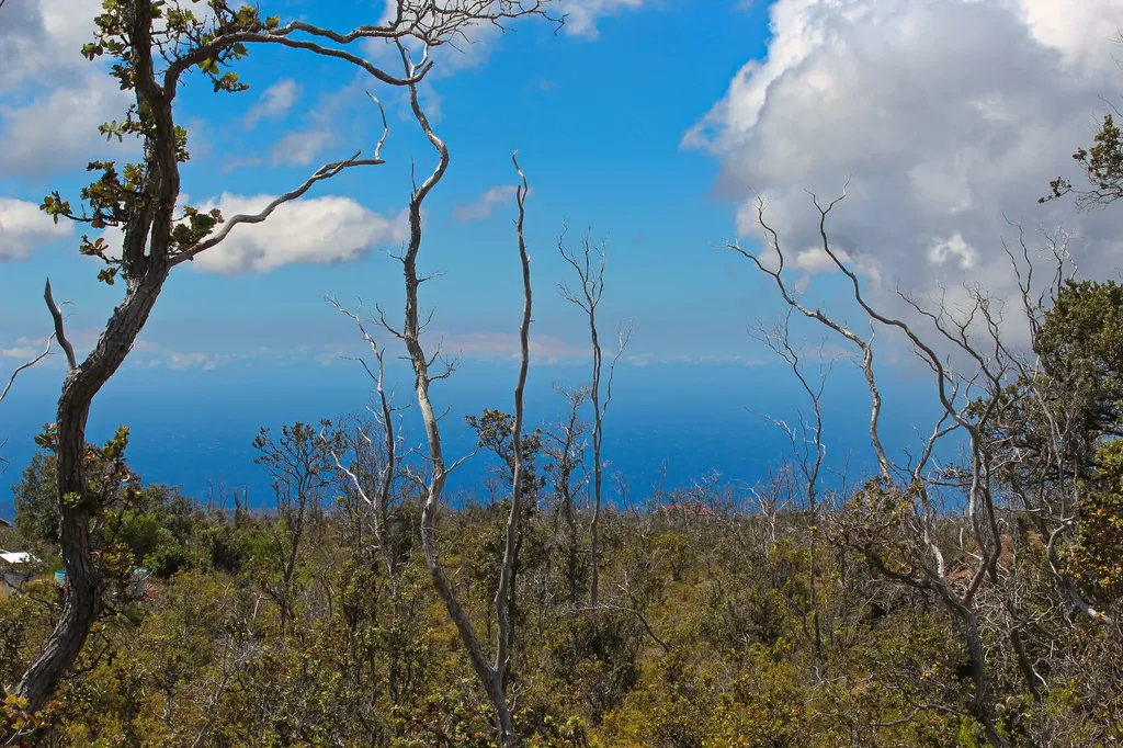 Ocean View HI 96737