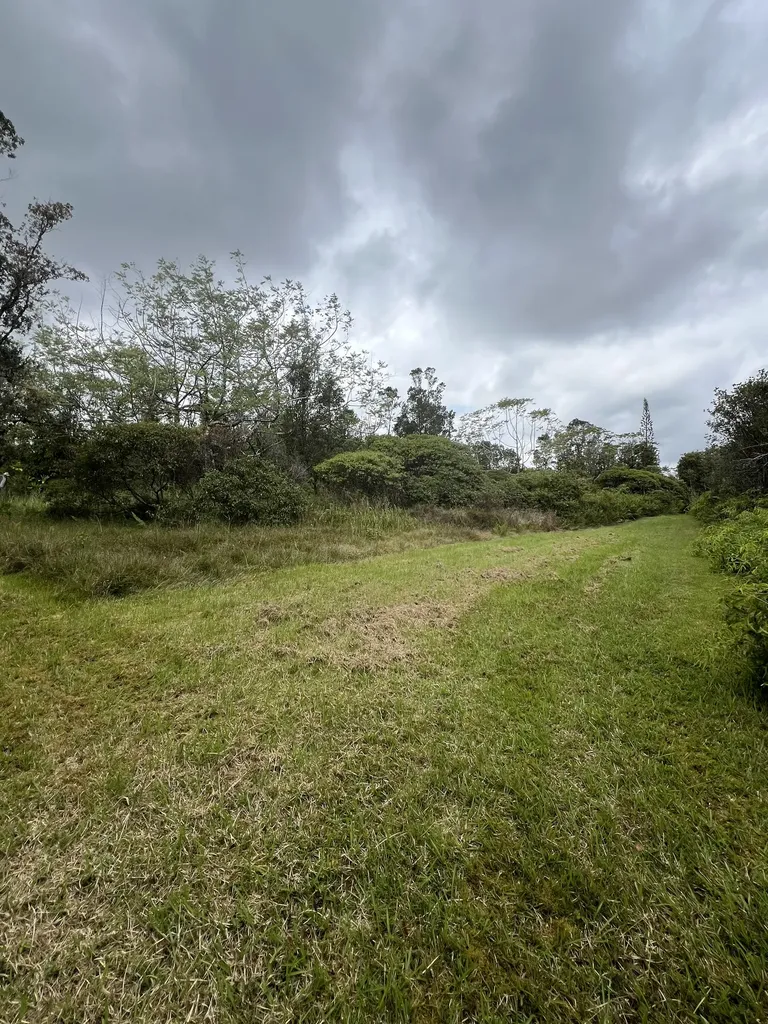 Kolea Street Mountain View HI 96771