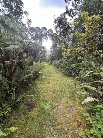 Kolea Street Mountain View HI 96771