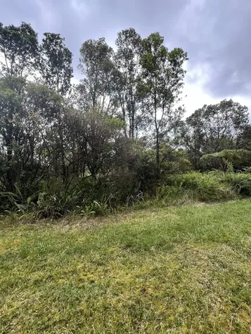 Kolea Street Mountain View HI 96771