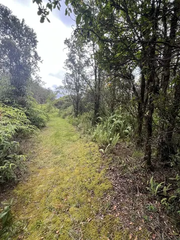 Kolea Street Mountain View HI 96771