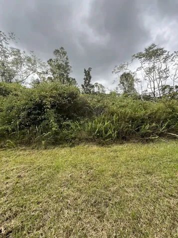 Kolea Street Mountain View HI 96771