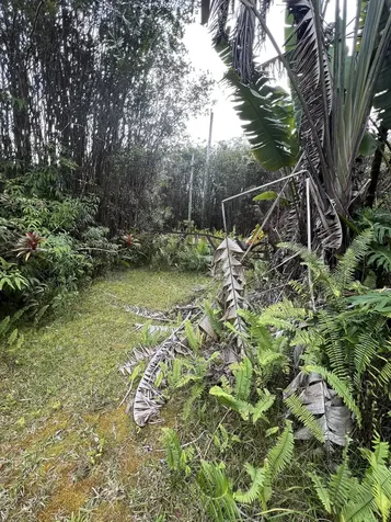 Kolea Street Mountain View HI 96771