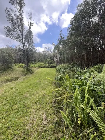 Kolea Street Mountain View HI 96771