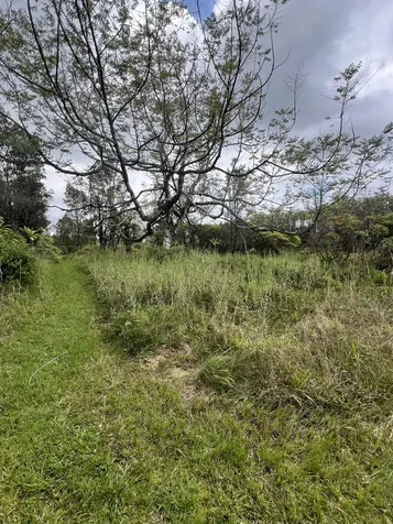 Kolea Street Mountain View HI 96771