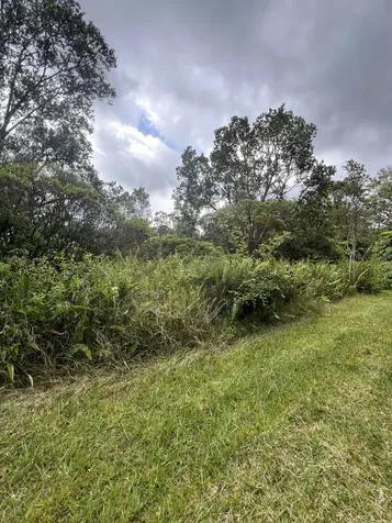 Kolea Street Mountain View HI 96771