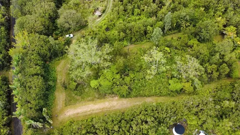 Kolea Street Mountain View HI 96771