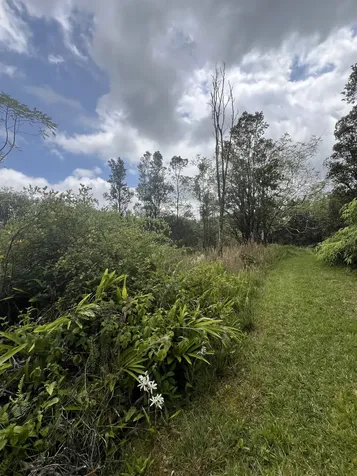 Kolea Street Mountain View HI 96771